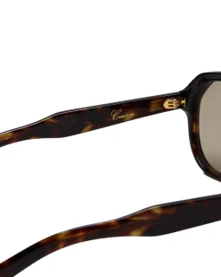 Solbriller|Solbriller<Chimi Eyewear Caine Tortoise Solbriller Brun