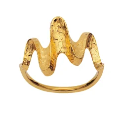 Maanesten<Maanesten Bay Ring Ring Gull